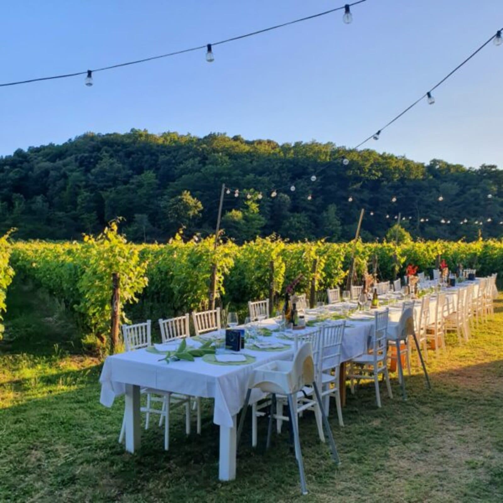 Una cena sotto le stelle per vivere un’esperienza unica a Tenuta La Macchia, non lontano dal mare! 