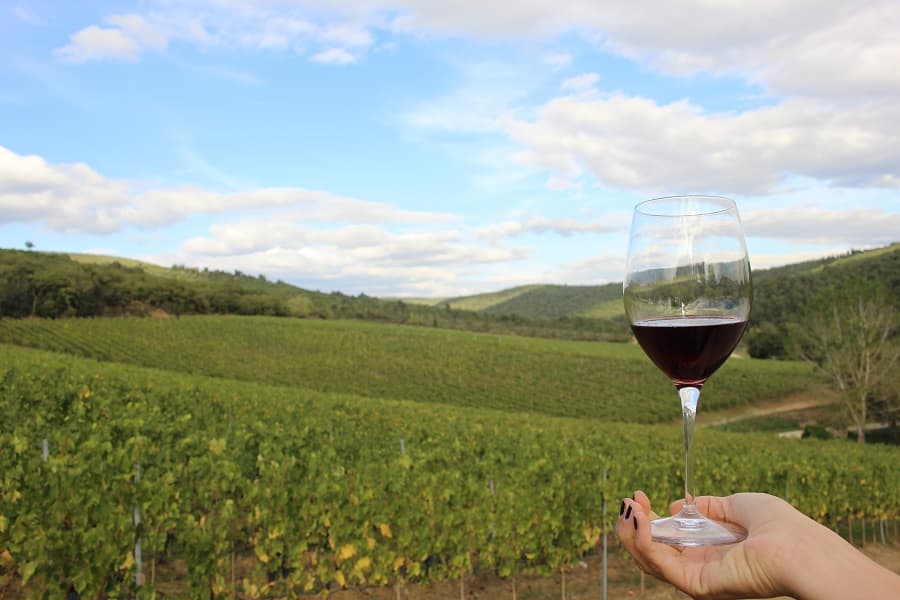 wine-tasting-camperchi_wp5_15970.jpg