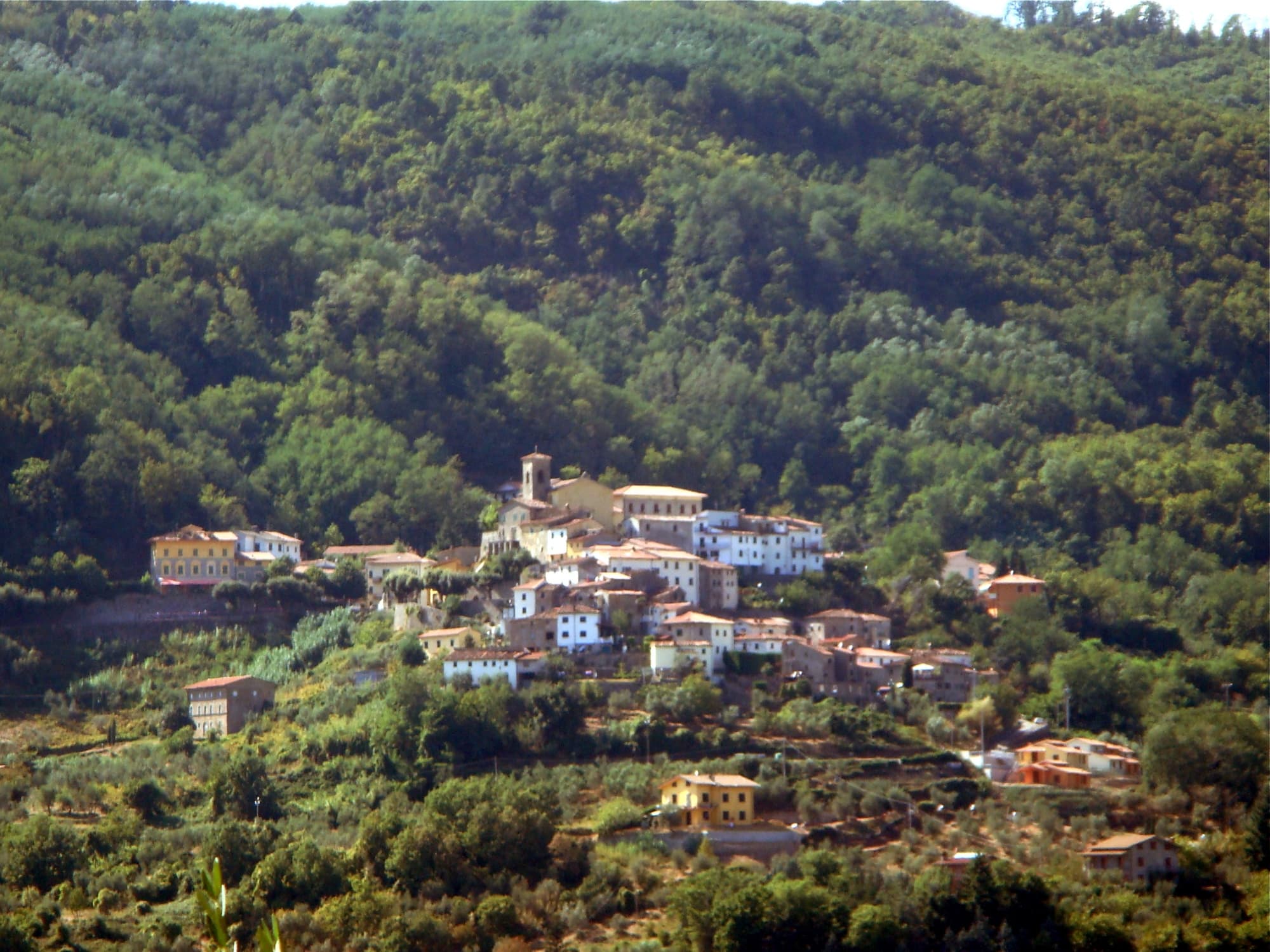 Marliana_