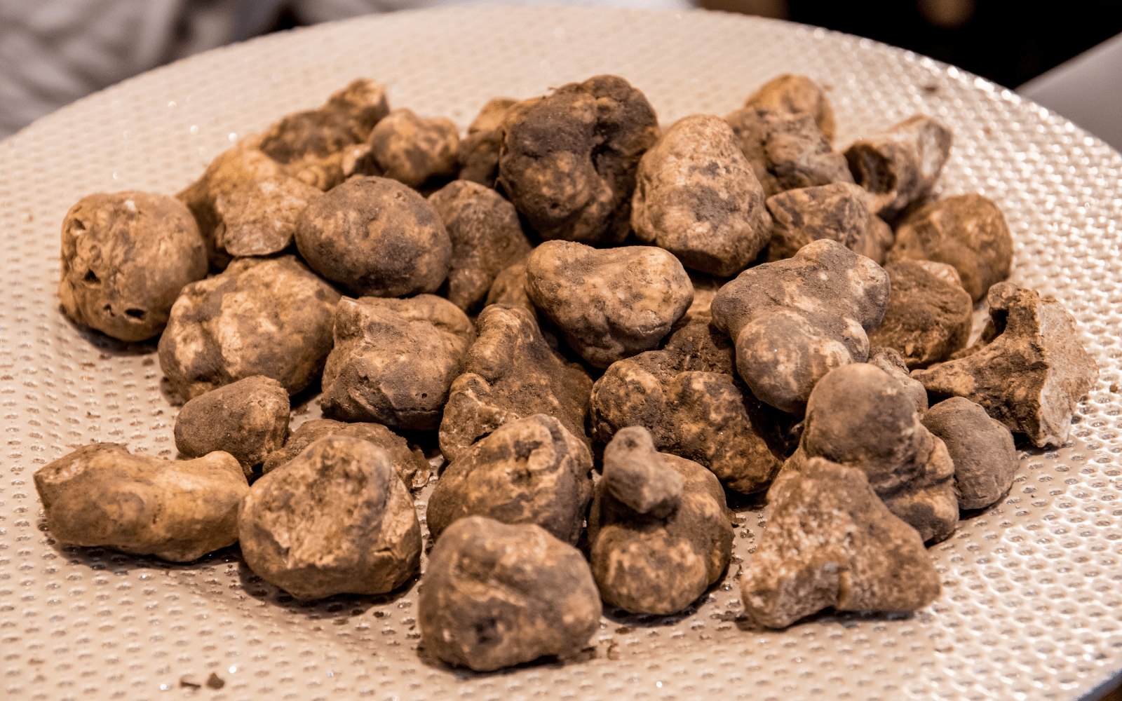 Tartufo bianco di San Miniato