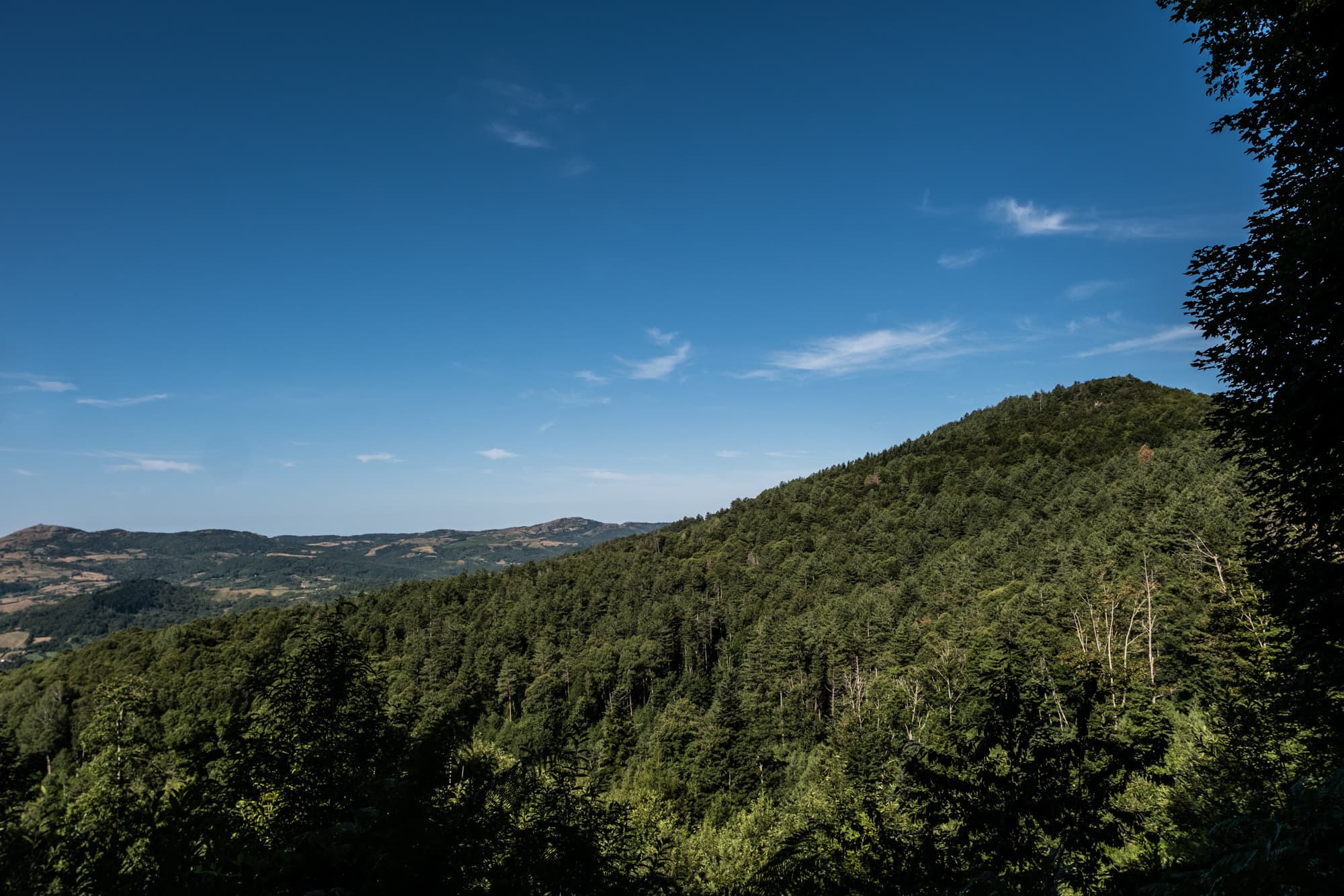 amiata-6.jpg