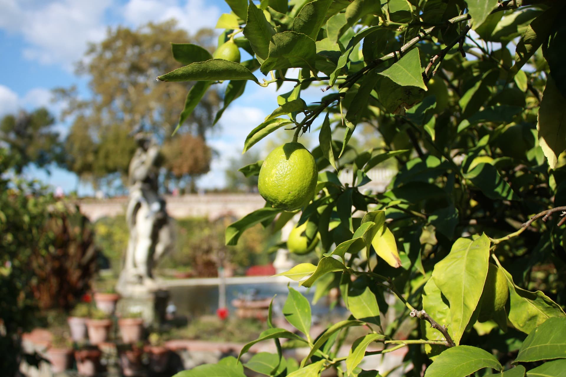 Giardini di Lucca