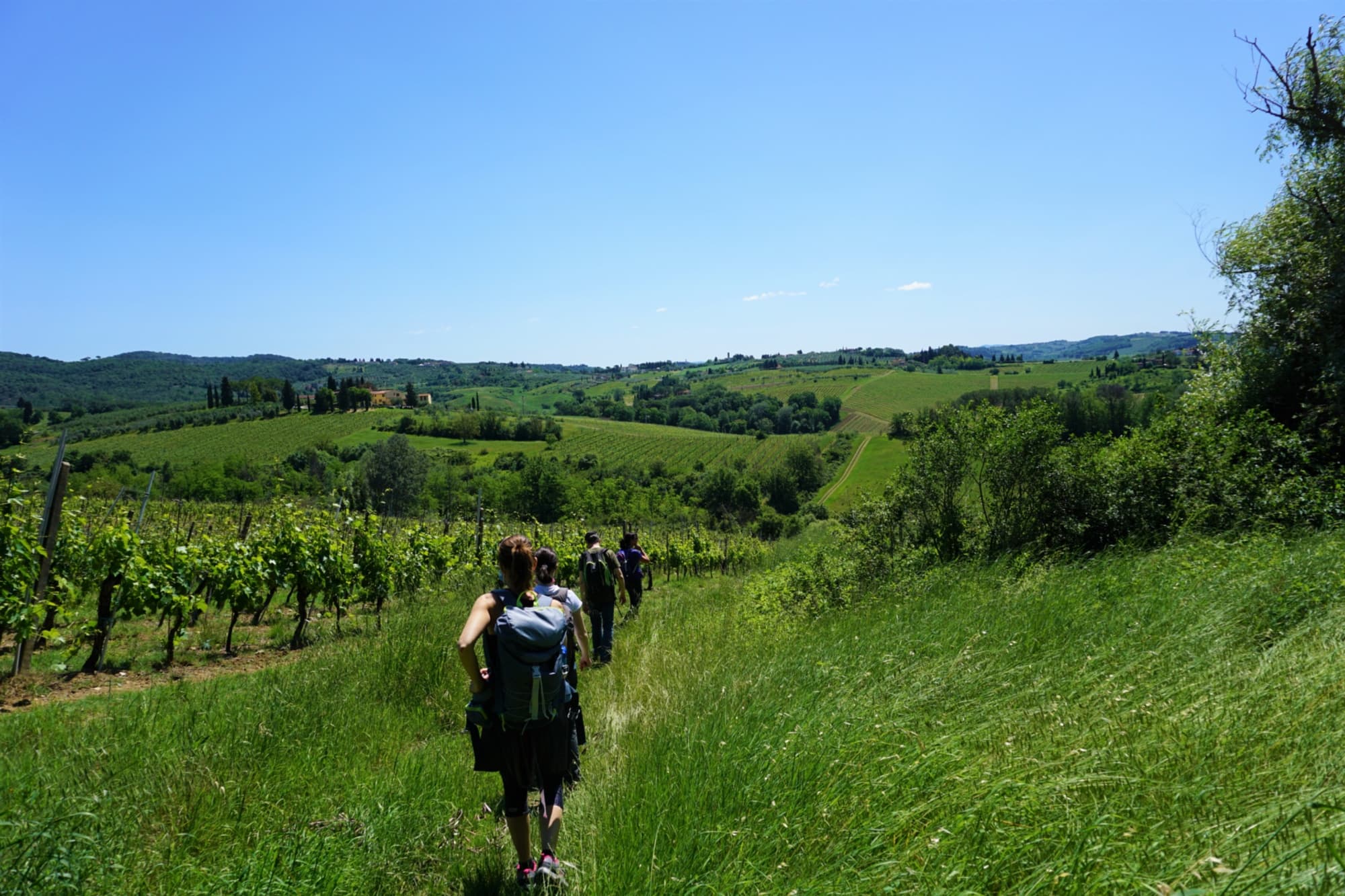 Escursione su percorso ad anello tra Val di Pesa e colline di Scandicci