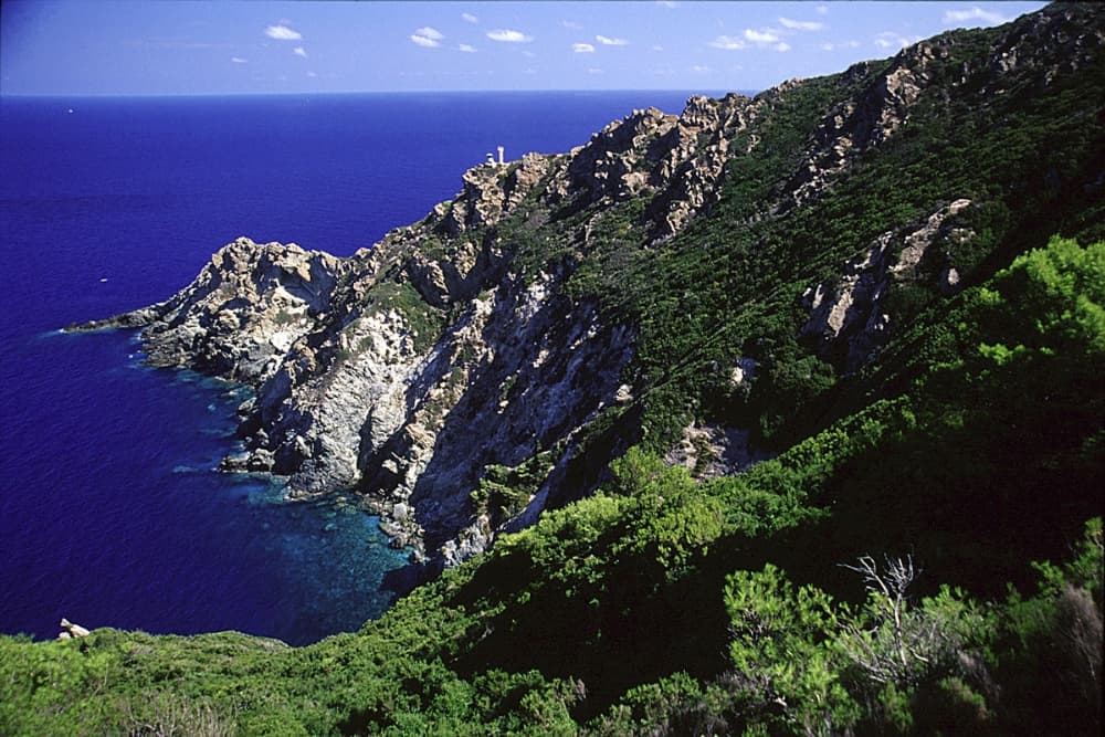 Punta Cala Maestra