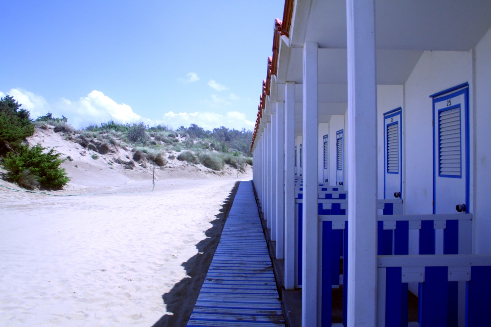 Spiaggia, Tirrenia