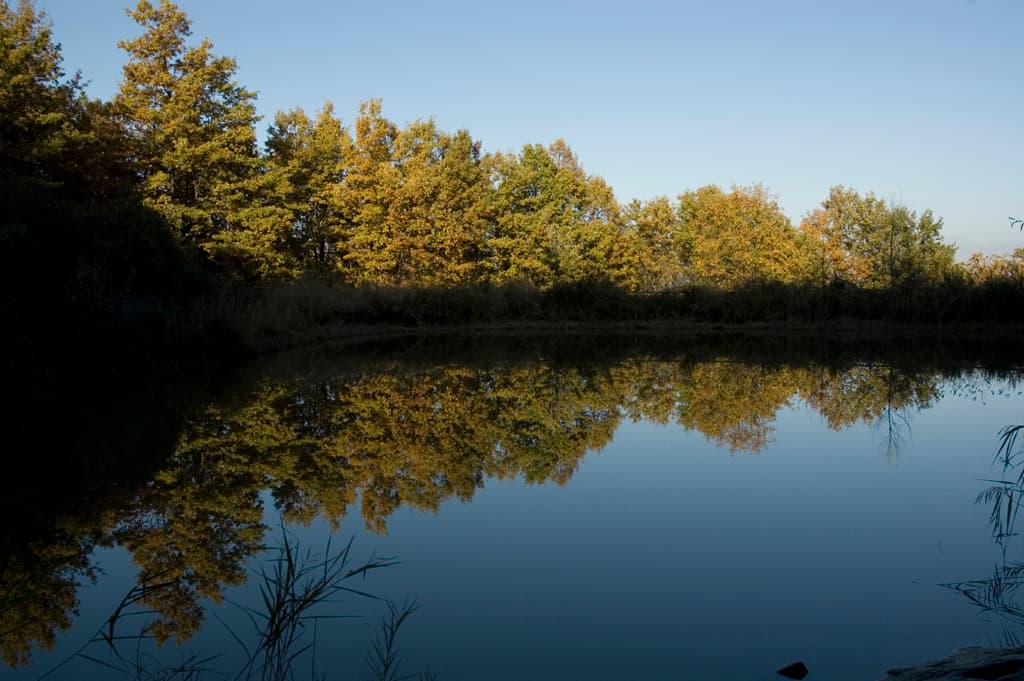 Parco Poggio Valicaia