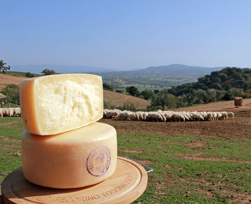 pecorino-toscano-10_wp5_16578.png