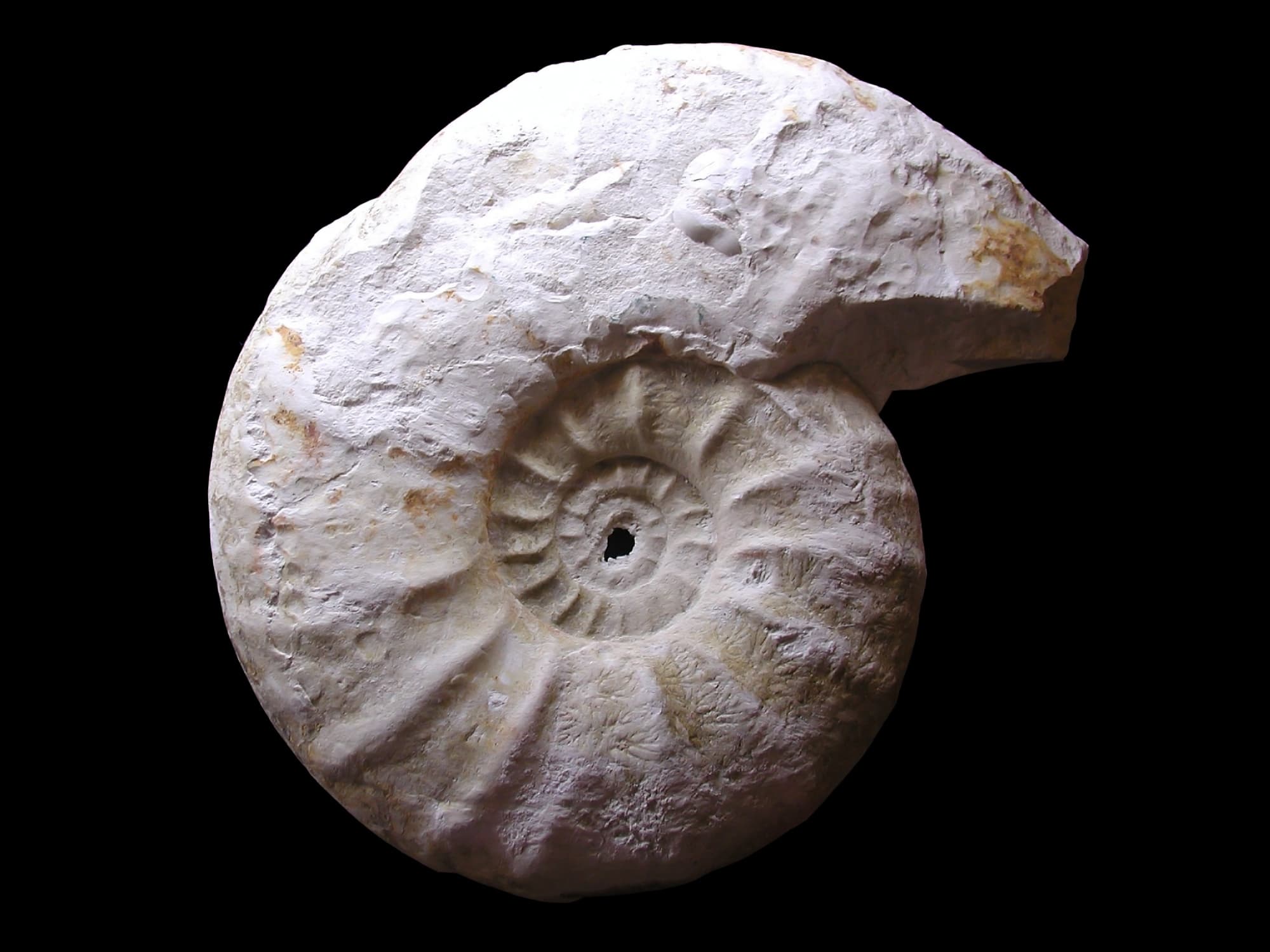 chiocciolone.jpg