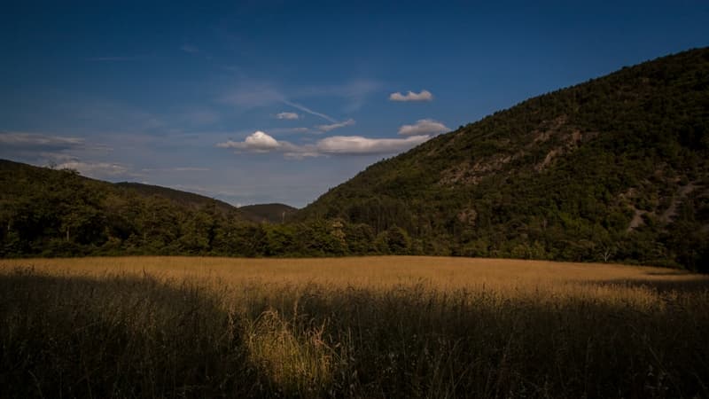 valtiberina-toscana-riserve-naturali-monti-rognosi-foto-david-butali (2)