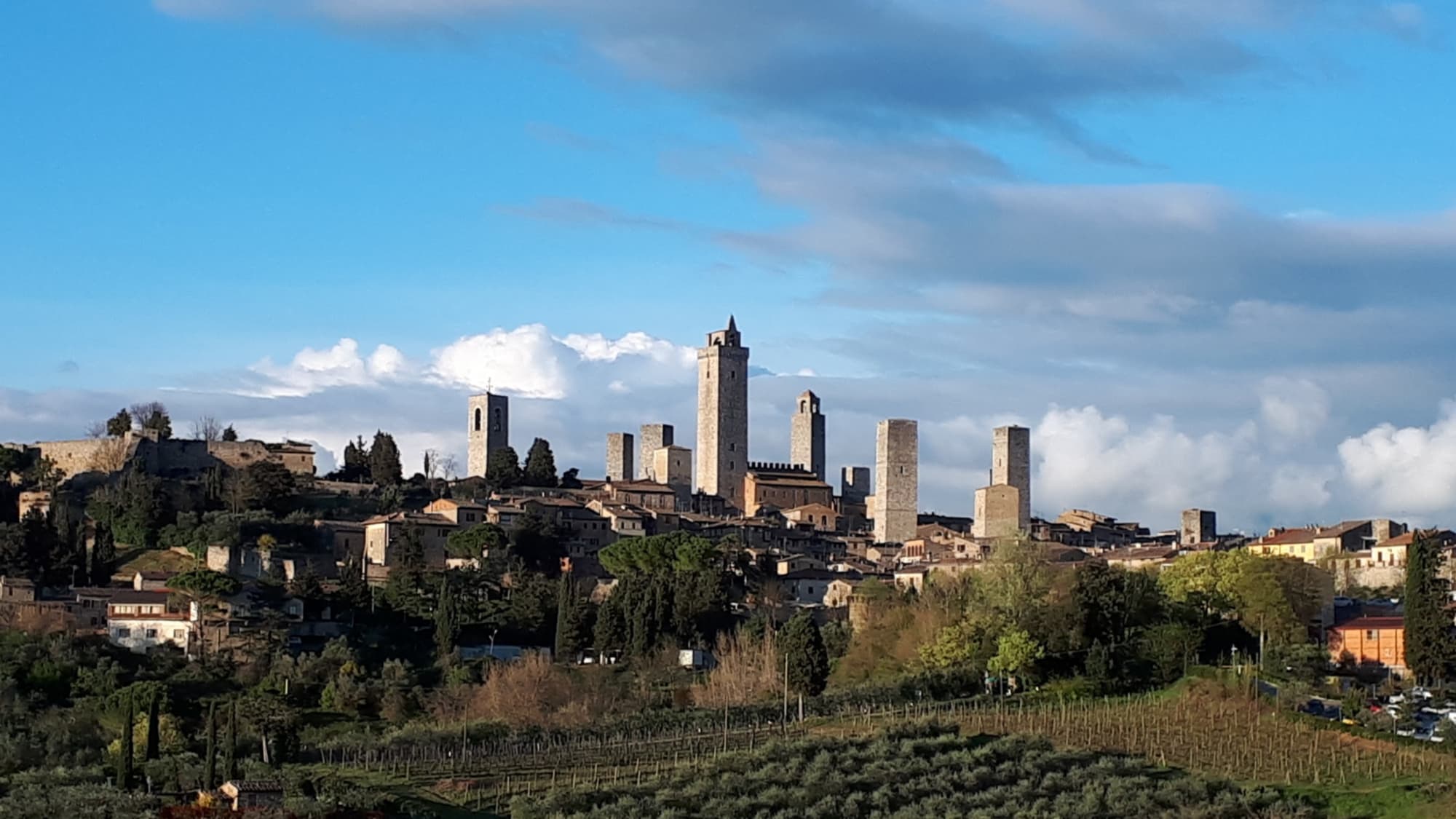 Visita guidata nel centro di San Gimignano