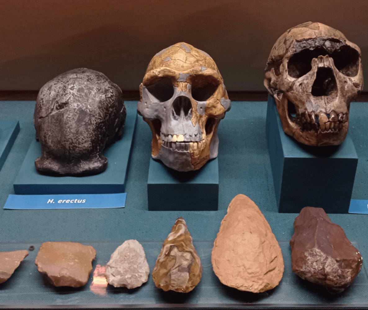 Florentine Institute of Prehistory