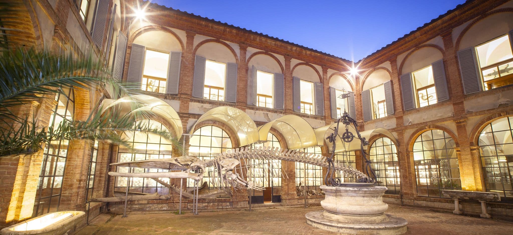 Natural History Museum of the Accademia dei Fisiocritici in Siena, housing a whole whale skeleton.