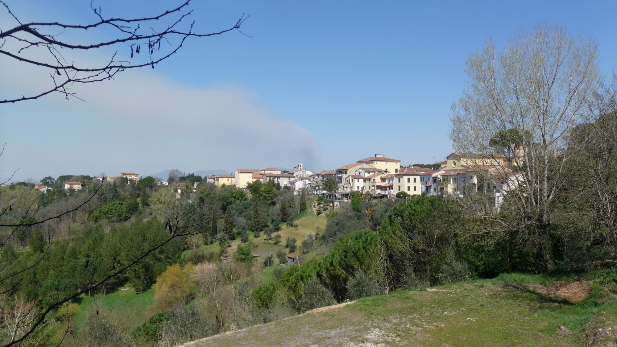 Panorama-Fauglia