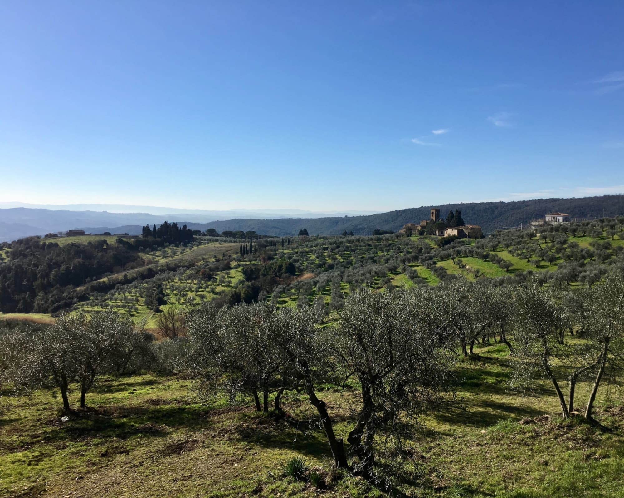 La campagna di Artimino e la Pieve San Leonardo
