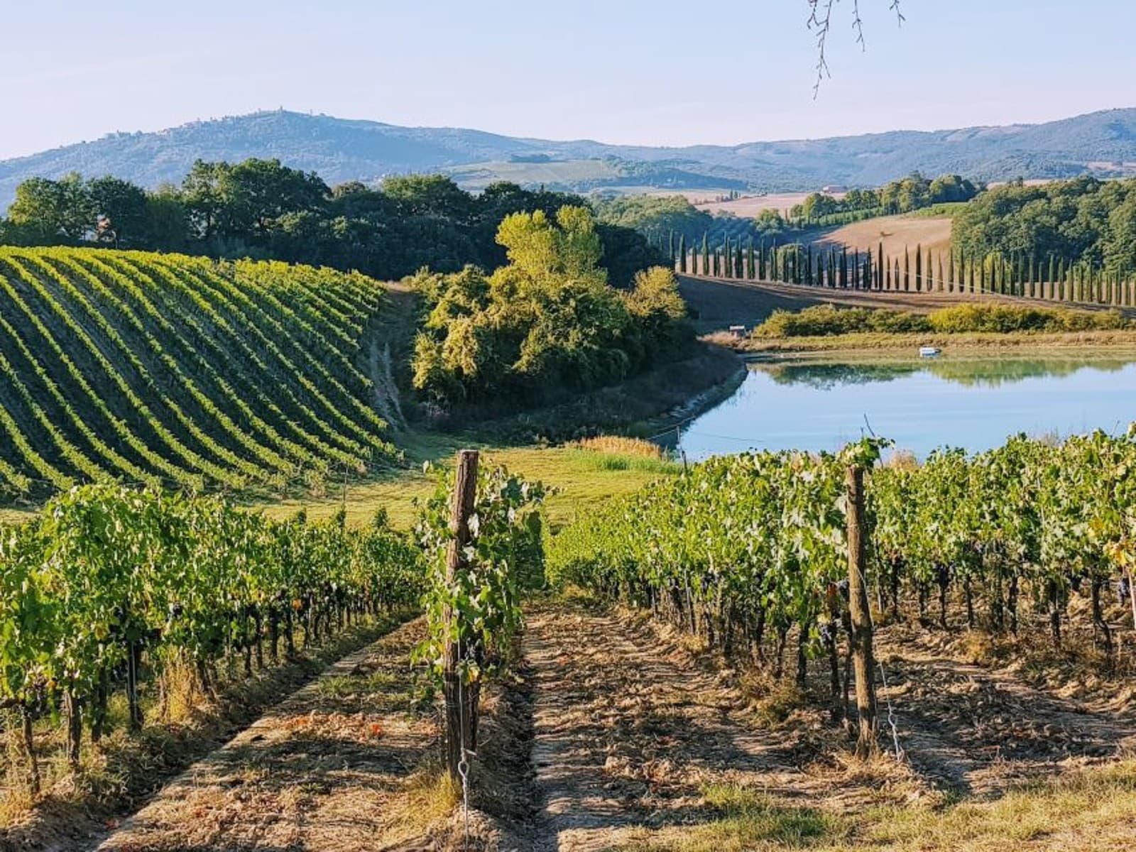 Chianti at sunset