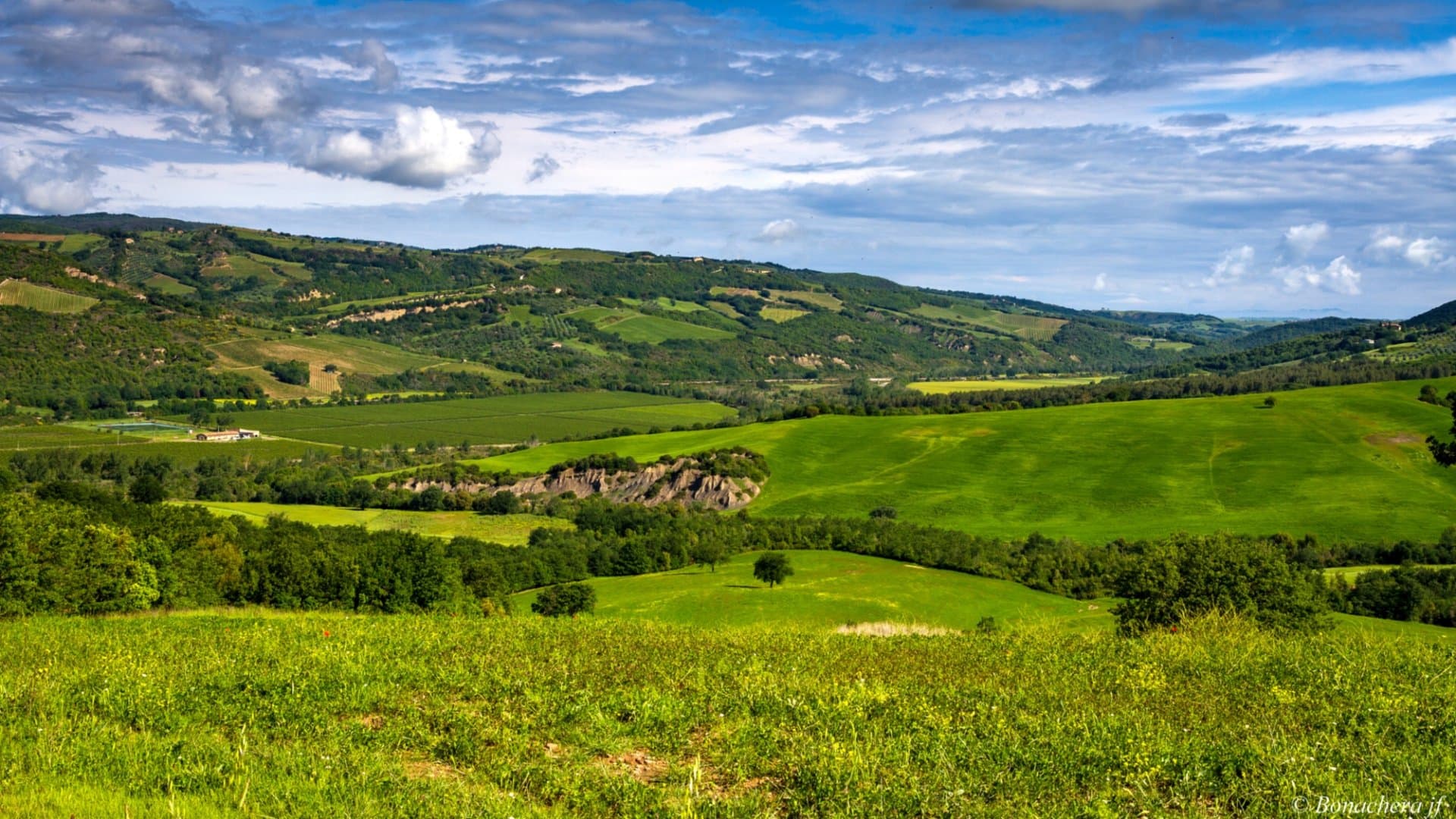 In bici in Val D'Orcia, tra l'Abbazia di Sant'Antimo e Montalcino