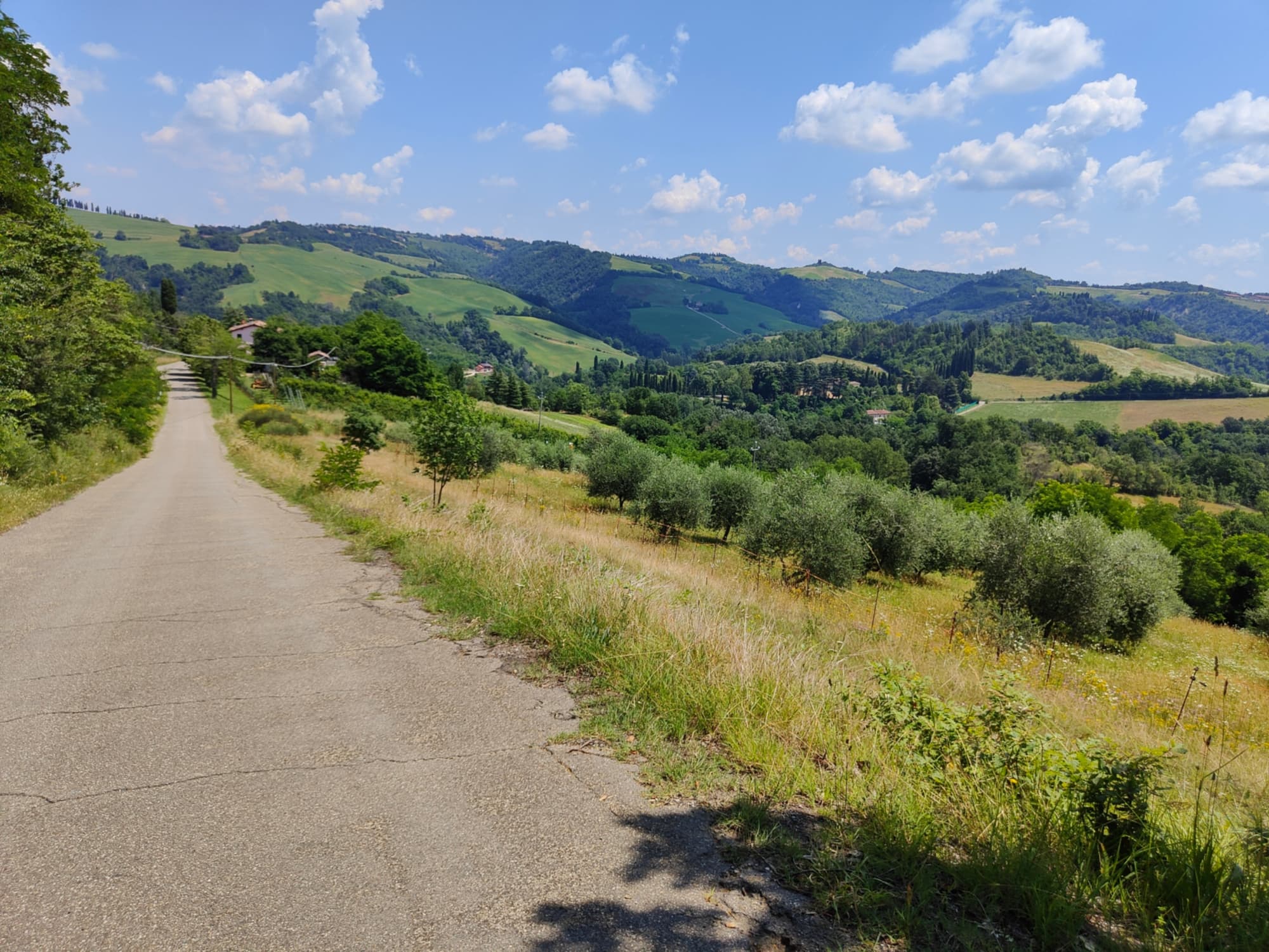 Un tour di 7 giorni a cavallo dell'Appennino fino a Firenze
