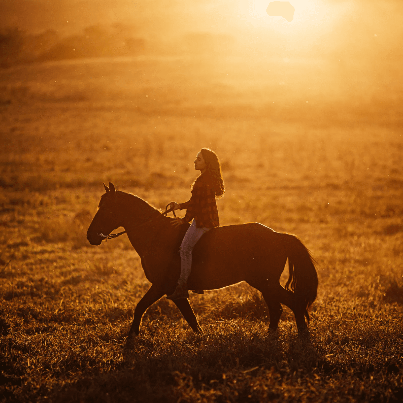 Passeggiata a cavallo: la Certosa di Calci al tramonto