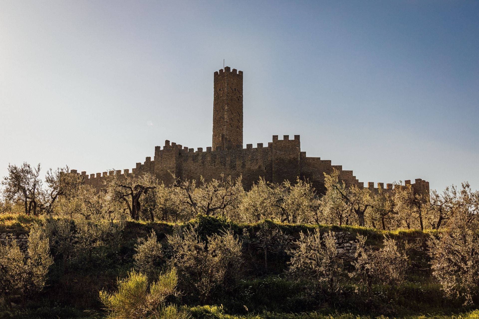 Castillo de Montecchio Vesponi