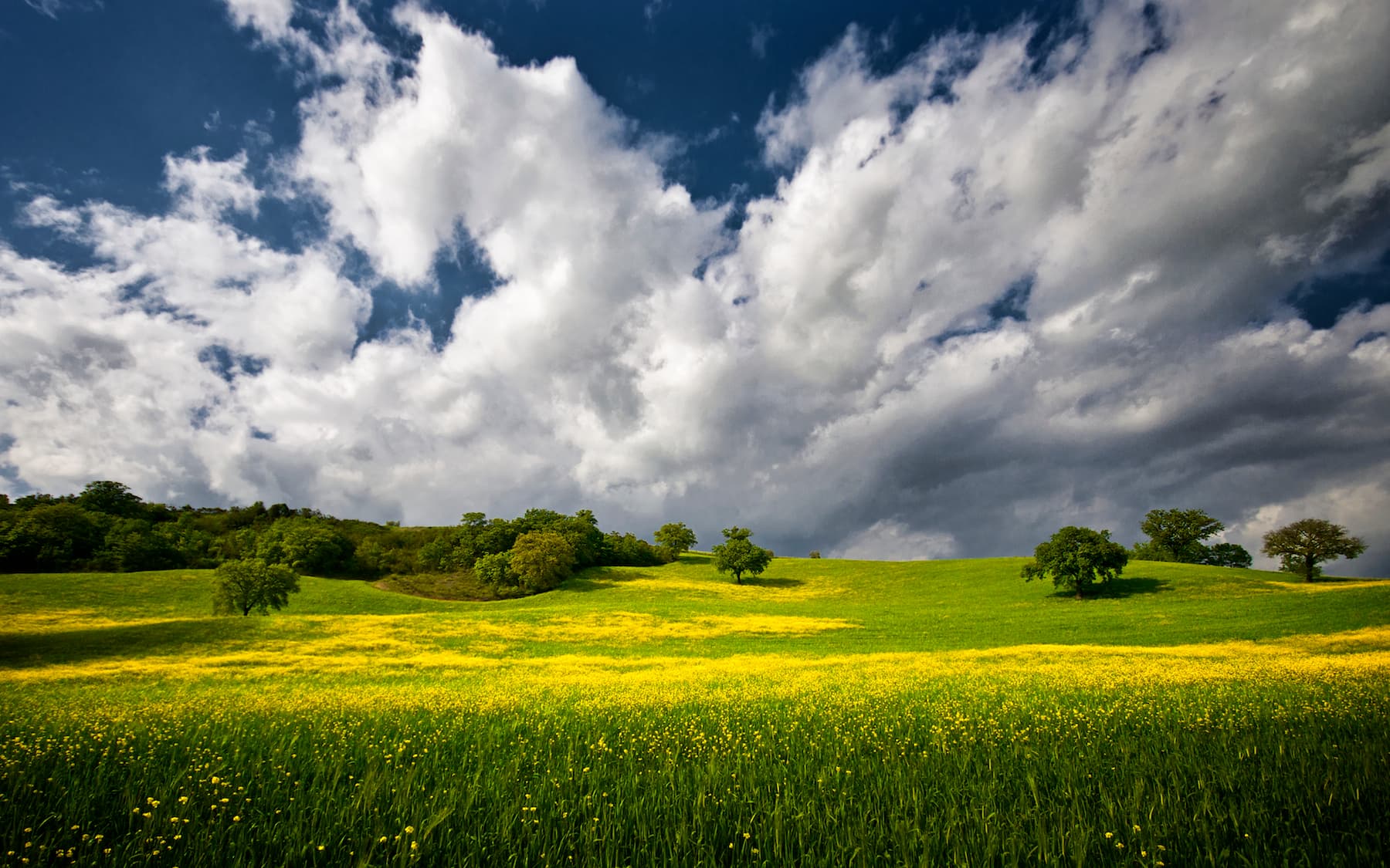 Panoramica della Maremma